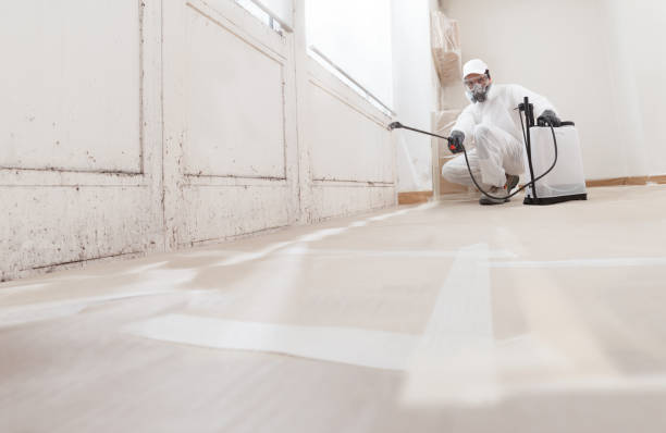24/7 Emergency Commercial Mold Remediation experts in Emporia, VA