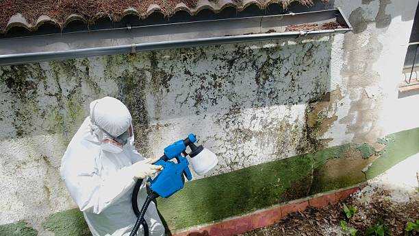 Top rated local Commercial Mold Remediation specialists in Emporia, VA